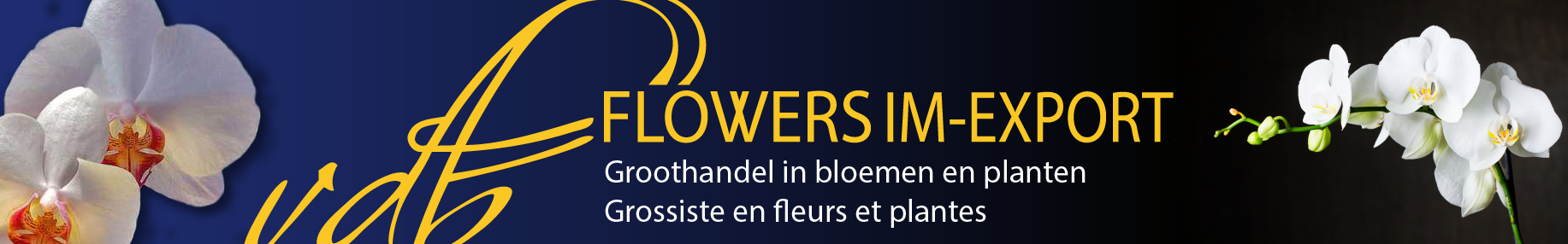VDB Flowers Banner