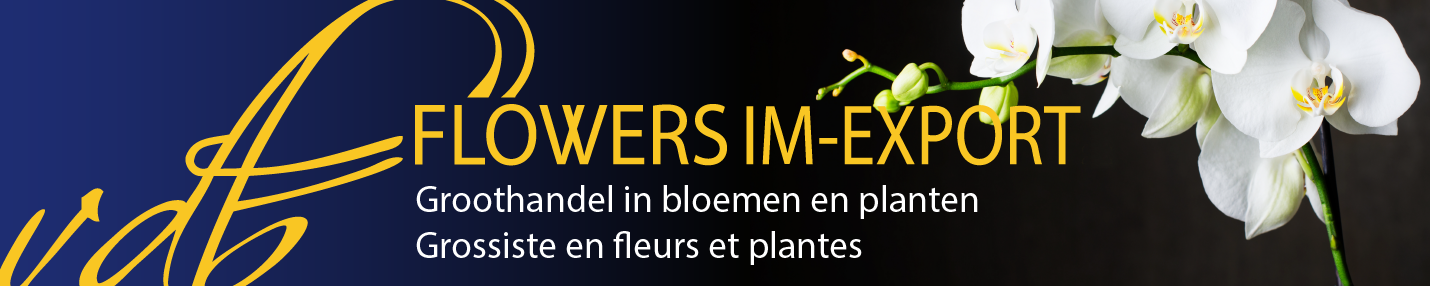 VDB Flowers Banner